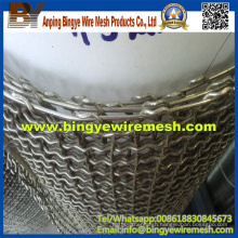 AISI 316L Stainless Steel Crimped Wire Mesh for Roast